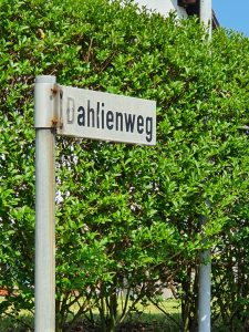 Kanal- und Straßenbaumaßnahme Dahlienweg in Brüggen