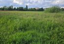 Neue Perspektiven für Wiesenfläche am Jugendzentrum Sindorf